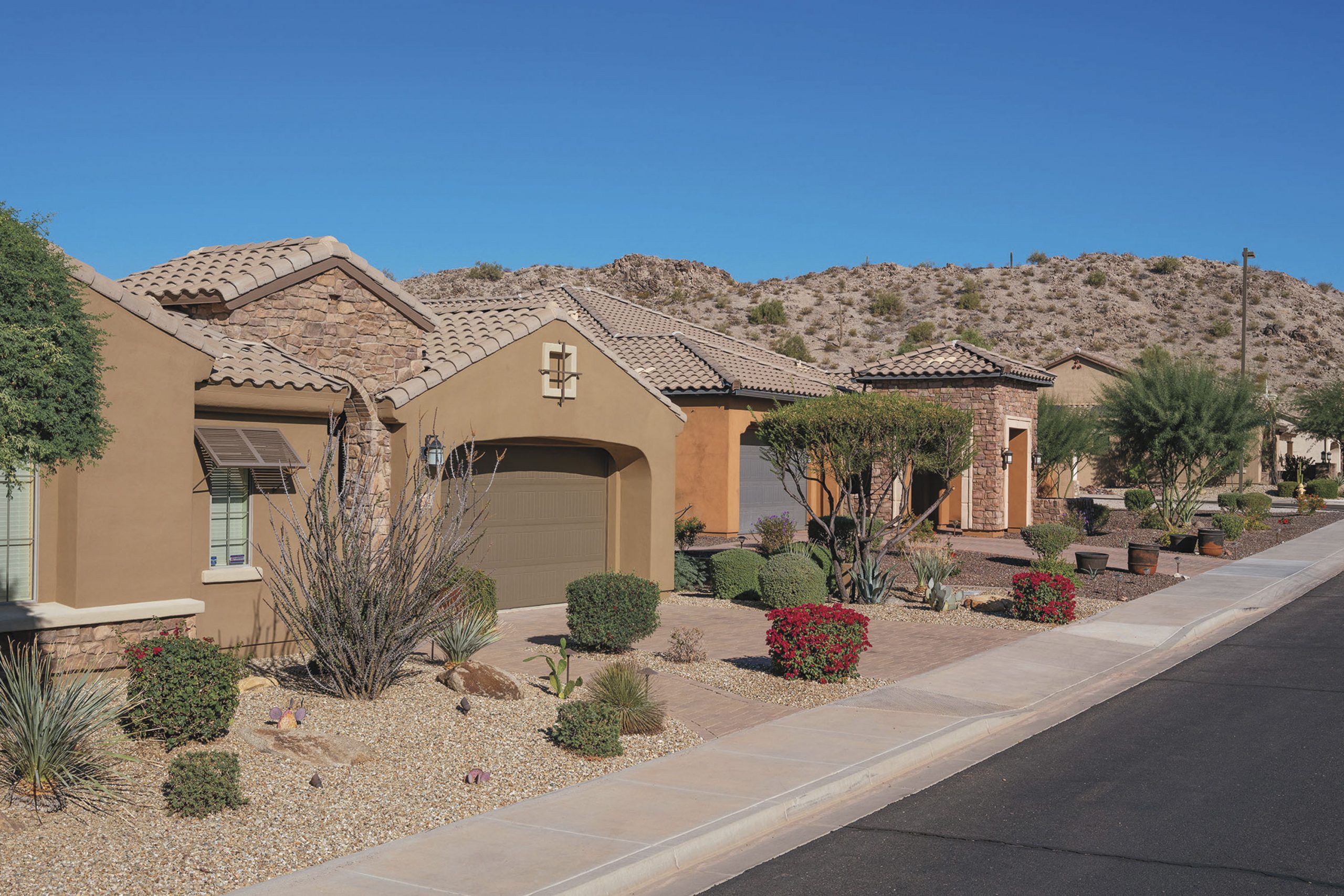 Tucson Arizona neighborhood