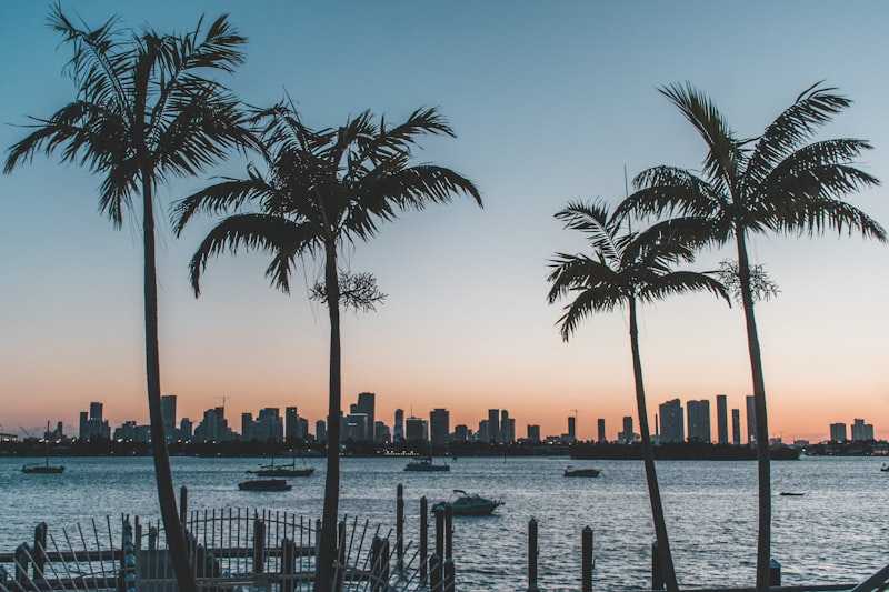 Tampa Bay Florida skyline