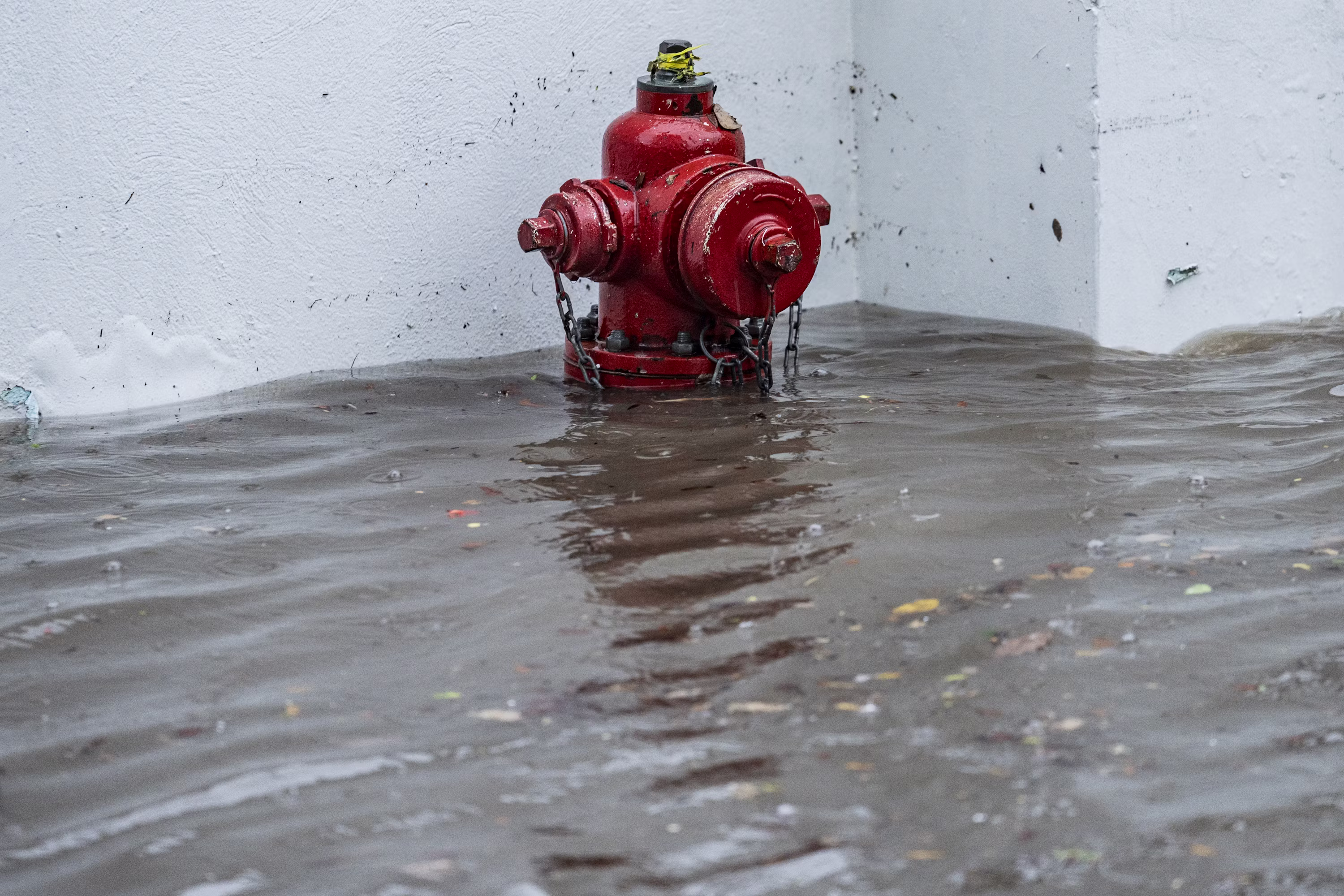 Florida flood zone property — cash buyer
